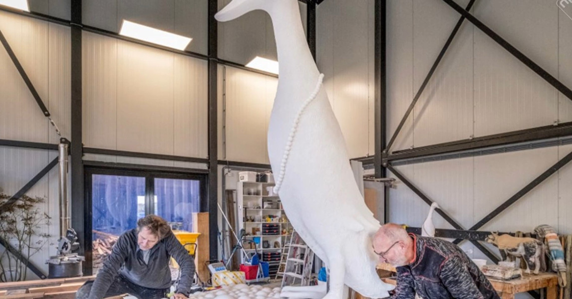 Depressieve eend houdt gemoederen in Zuid-Hollandse Voorhout bezig