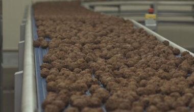 Vivera uit Holten mag vega-gehakt geen 'gehakt' meer noemen - RTV Oost