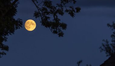 Grootste supermaan van dit jaar is vandaag te zien aan de oostelijke hemel