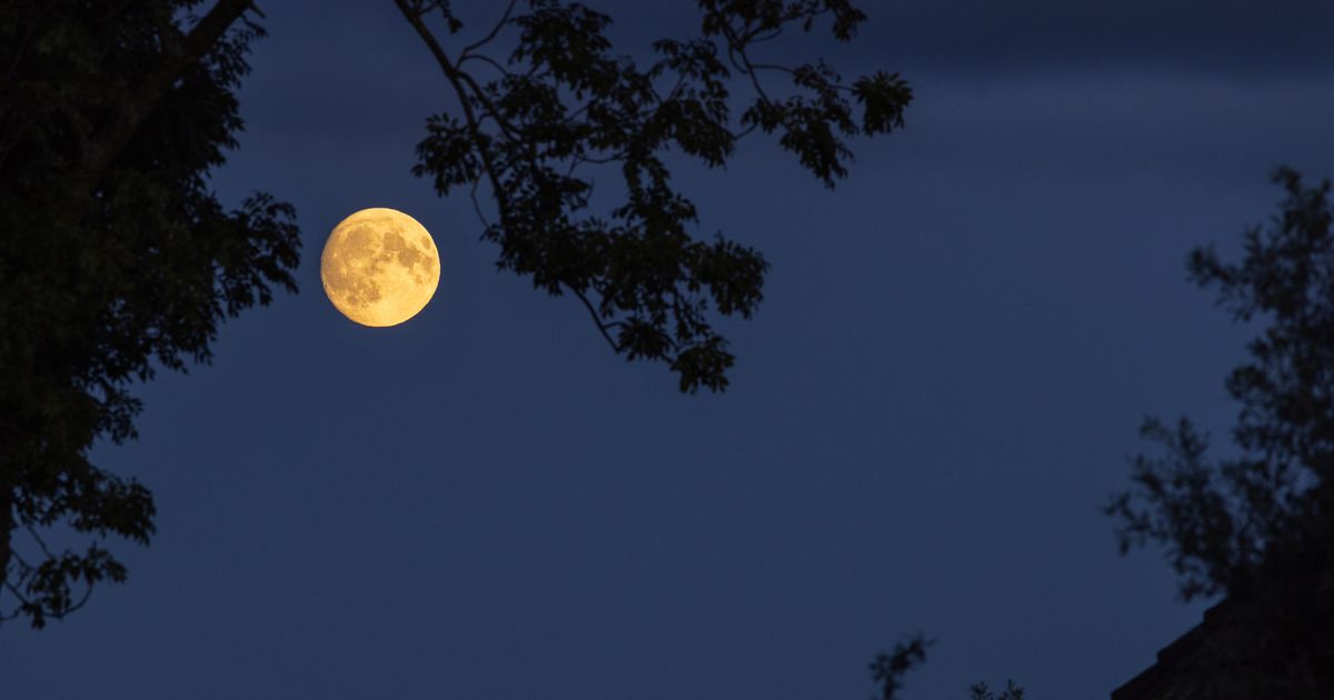 Grootste supermaan van dit jaar is vandaag te zien aan de oostelijke hemel