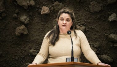 Barbara Kathmann (GroenLinks-PvdA) is over als een van de weinige digitaal bekwame Kamerleden