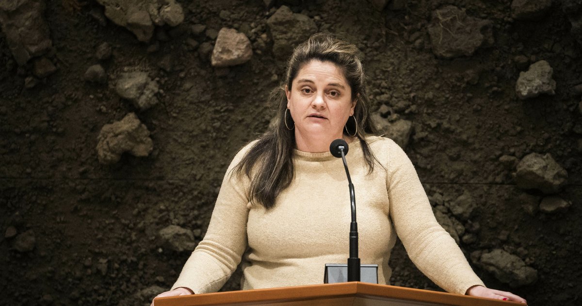 Barbara Kathmann (GroenLinks-PvdA) is over als een van de weinige digitaal bekwame Kamerleden