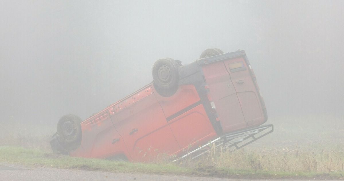 Meer dan 25 auto's en gebouw beschadigd door brand bij autorecyclebedrijf in Leeuwarden - Omrop Fryslân