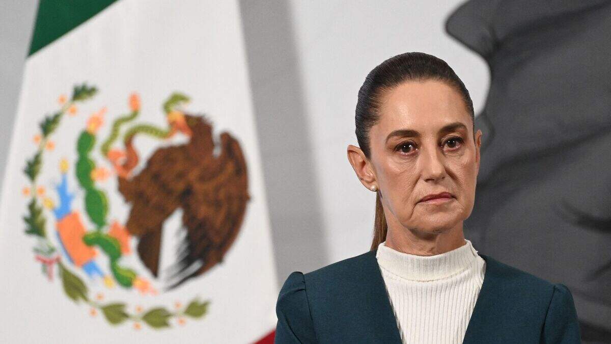 De Mexicaanse president Claudia Sheinbaum heeft aangifte gedaan tegen de man die haar op straat heeft betast.