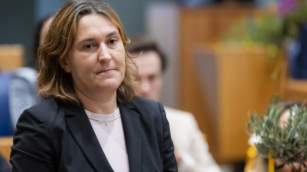 Kamerlid Piri wilde van het demissionaire kabinet weten waar het materiaal vandaan komt voor haar partij groen licht zou geven voor de aanschaf.