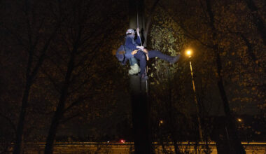 De bomen in tegen de A2-verbreding: ‘Snurk jij? Dan ga ik een stukje verderop hangen’ - De Limburger