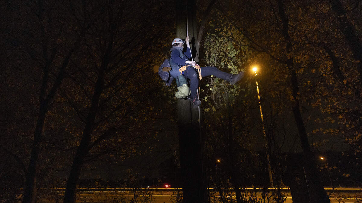 De bomen in tegen de A2-verbreding: ‘Snurk jij? Dan ga ik een stukje verderop hangen’ - De Limburger