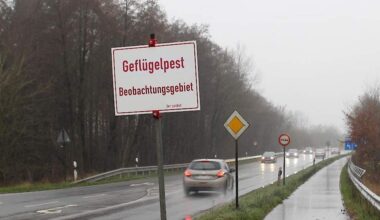 Het beperkingsgebied.