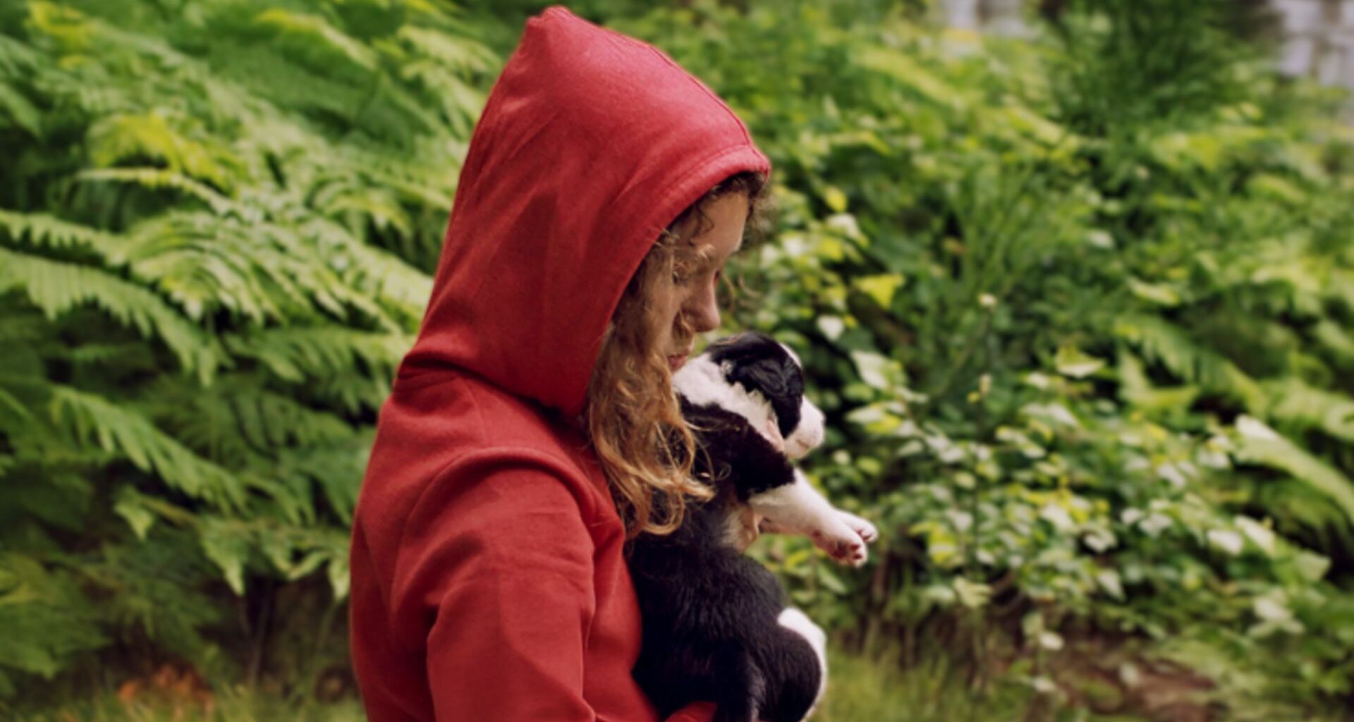 Gratis Netflix-concurrent biedt film met bizarre titel over schokkende viral video: 'Wát een verhaal' | Netflix Nieuws