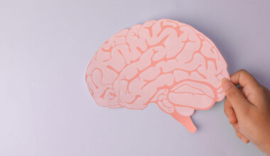 Mini-hersenen onthullen dat zelfs het allereerste klompje hersencellen al weet wat het doet