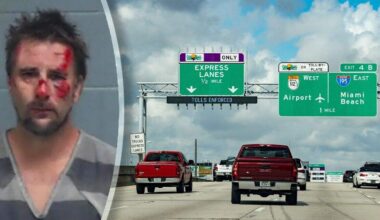 Albert probeerde de politie te ontvluchten door uit zijn rijdende auto te springen. Op de achterbank zaten zijn drie kinderen. Zijn vrouw in de passagiersstoel wist de auto te stoppen