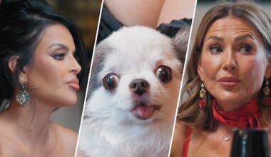 Nieuwkomers vliegen elkaar in de haren tijdens start The Real Housewives of Amsterdam