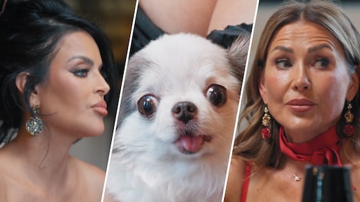 Nieuwkomers vliegen elkaar in de haren tijdens start The Real Housewives of Amsterdam