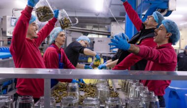 alles in het teken van De Augurkenkoning