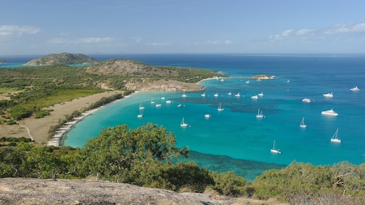 Australische cruise alsnog gestaakt na eenzame dood achtergelaten passagiere (80)