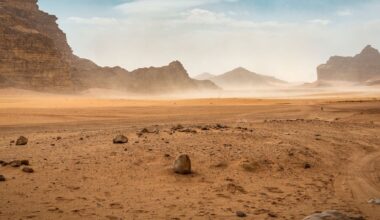 AEX opent vlak en de stille periode wordt nog stiller, maar dat zegt niks