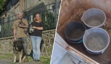 Alex en Antoinette uit Kasteel Gekocht, Wat Nu? ontdekken keerzijde van hun aankoop: 'Het lekt overal'