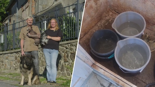 Alex en Antoinette uit Kasteel Gekocht, Wat Nu? ontdekken keerzijde van hun aankoop: 'Het lekt overal'