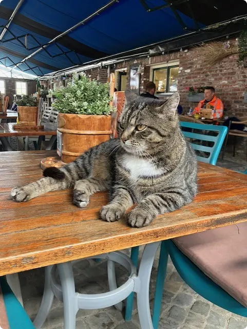 Foto: Danielle Weerts