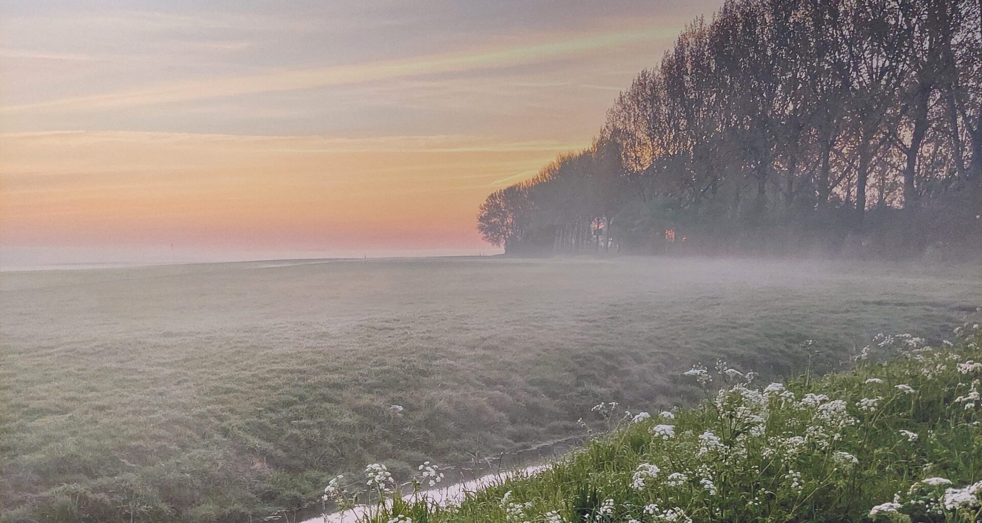 Groene Hart fotografie van Caroline Rijnbeek
