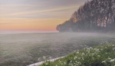 Groene Hart fotografie van Caroline Rijnbeek