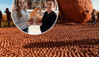 Kringloopwinkel wilde beeldjes Koen Vanmechelen verkopen, tot ze er meer over te weten kwamen