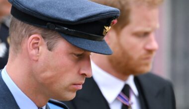 De ware oorsprong van de vete tussen prins Harry en prins William