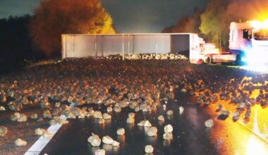 A28 tussen Hoogeveen en Groningen gesloten, weg vol suikerbieten - De Telegraaf