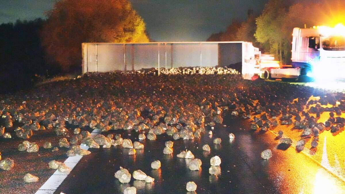 A28 tussen Hoogeveen en Groningen gesloten, weg vol suikerbieten - De Telegraaf