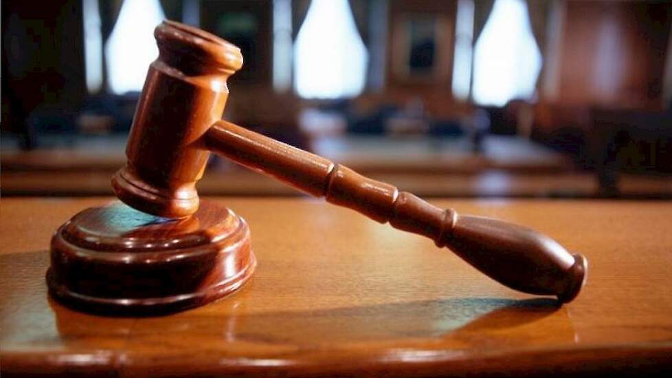 Foto van Tom Schotman