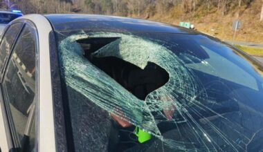 Na de oproep vond de politie de auto met een groot gat in de ruit en een dode kat die duidelijk sporen droeg van de klauwen van de roofvogel.