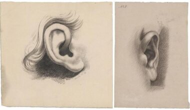 Leven met tinnitus – De Groene Amsterdammer