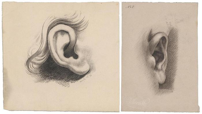 Leven met tinnitus – De Groene Amsterdammer