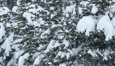 Sneeuw in aantocht: flinke kou door weersomslag