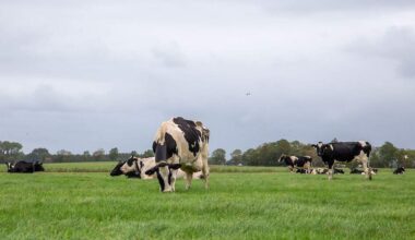 Foto van Stefan Buning