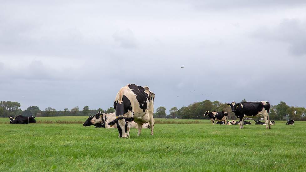 Foto van Stefan Buning