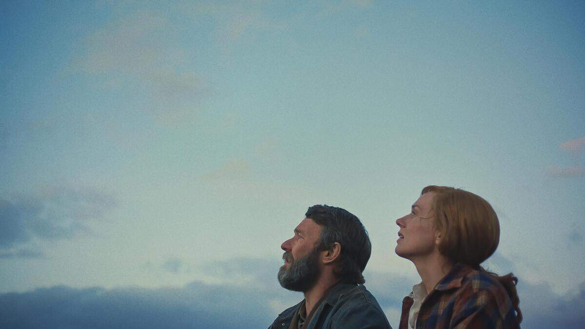 Een meesterwerkje om in te kaderen: de beste films van het moment