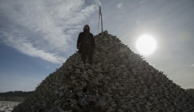 Videoland barst van de goede films: deze drie films raad ik je zeker aan!