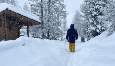 kou en sneeuw op komst