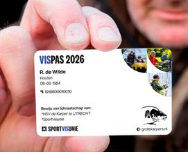 VISpas 2025