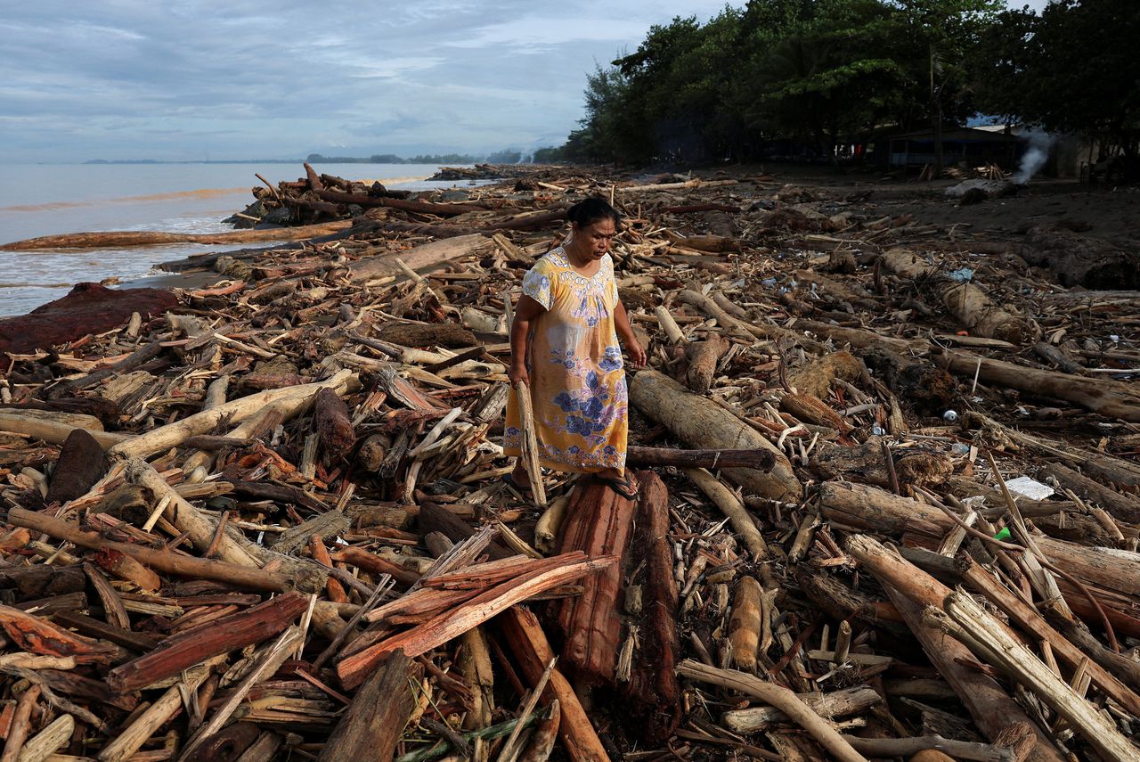 Een vrouw loopt over boomstammen die zijn aangespoeld op de kust van  Padang in de Indonesische provincie West-Sumatra. 