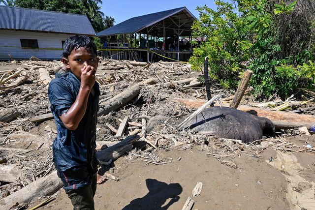 Een jongen knijpt zijn neus dicht naast een dode Sumatraanse olifant te midden van de ravages die door het noodweer zijn veroorzaakt. 