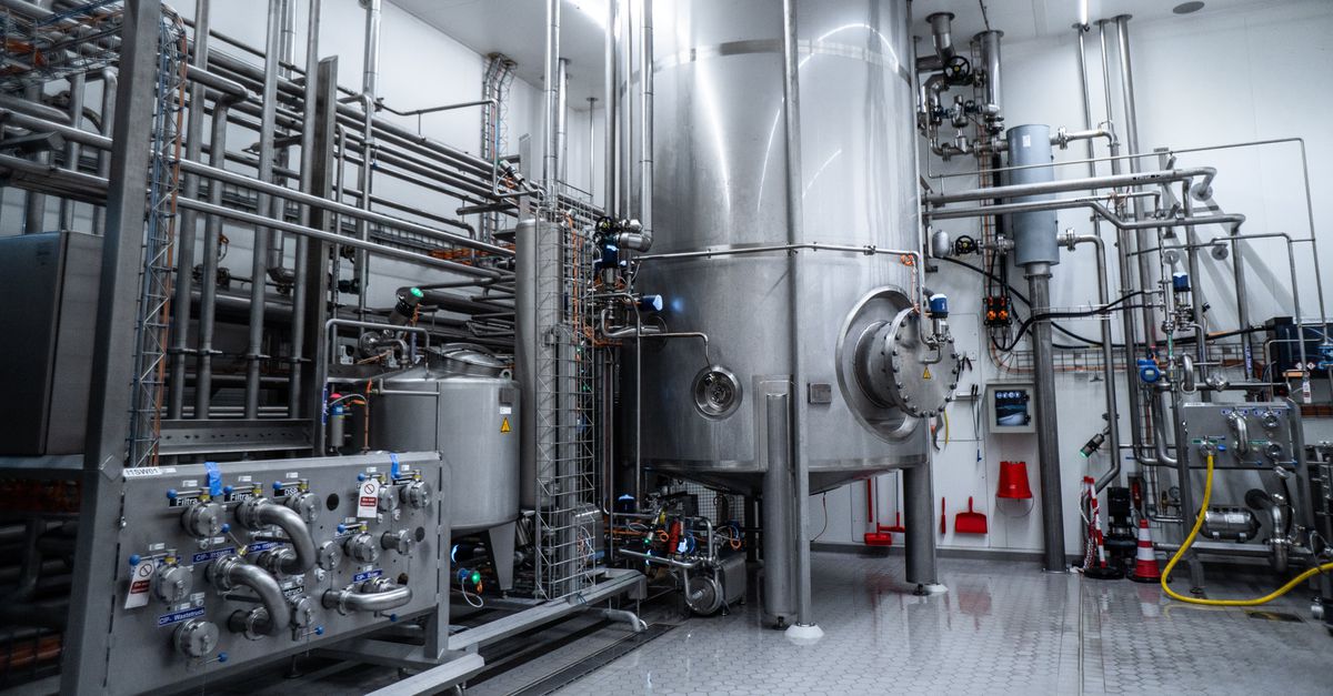 EU: gefermenteerd eiwit uit Nederland is veilig voor consumptie