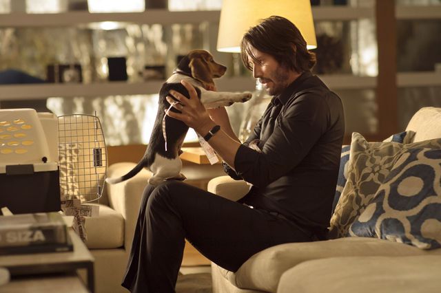 Still uit deel 1 van ‘John Wick’, 2014.