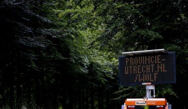 Wolf gedood op Utrechtse Heuvelrug