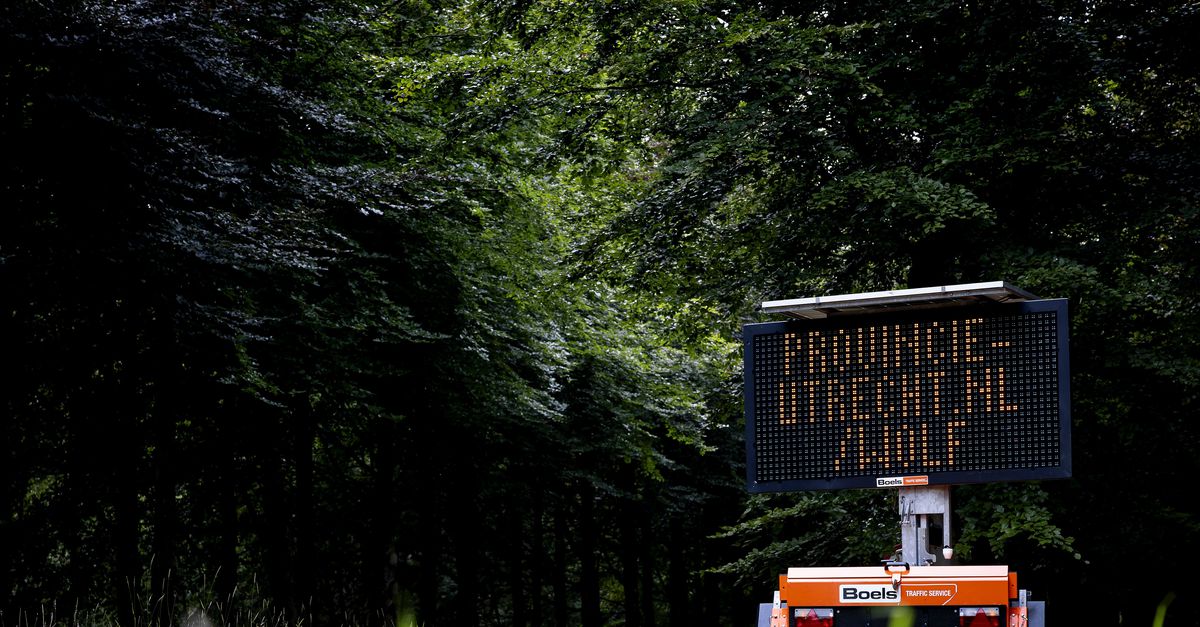 Wolf gedood op Utrechtse Heuvelrug