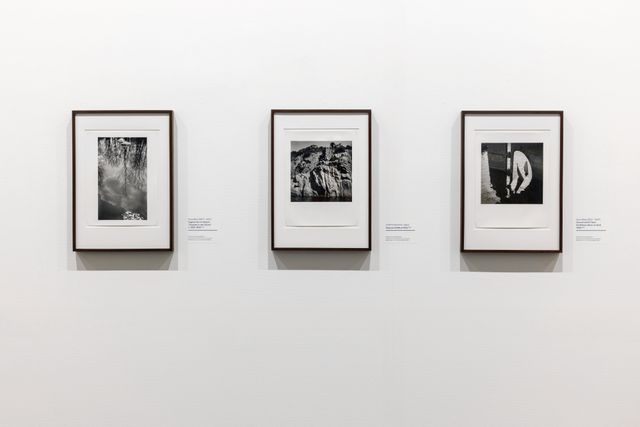 Foto’s van Dora Maar in Museum Arnhem.
