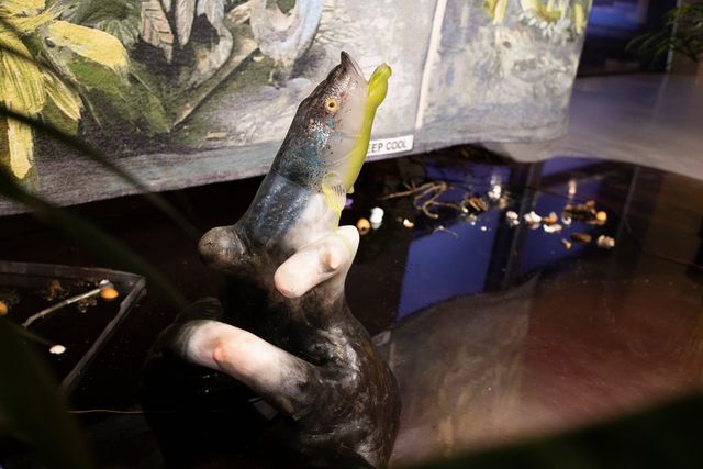 Een van de vissen uit de installatie van Laure Prouvost.