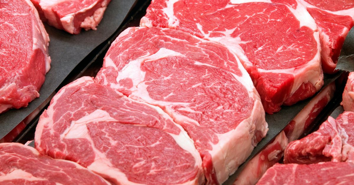 Minder vlees Gezondheidsraad - NRC