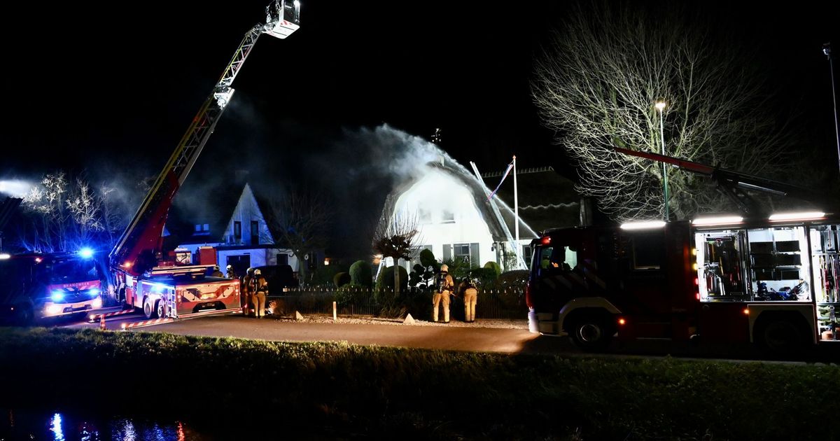 112-nieuws: Politiehond pakt inbreker | Woningbranden tijdens Kerstmis - RTV Utrecht